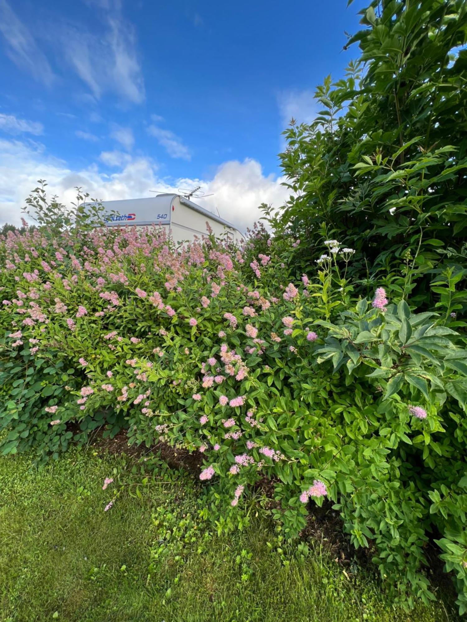 Gullvag Camping Nyberg Soknedal Exterior foto